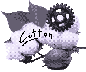 cotton